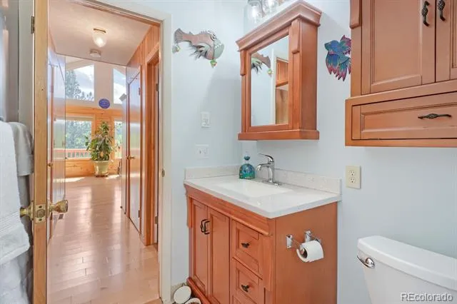 16 Mesa Court Bailey, CO 80421