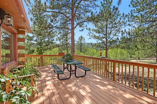16 Mesa Court Bailey, CO 80421