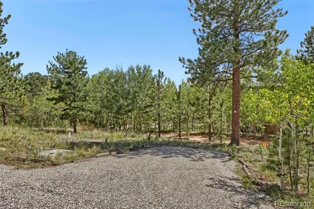 16 Mesa Court Bailey, CO 80421