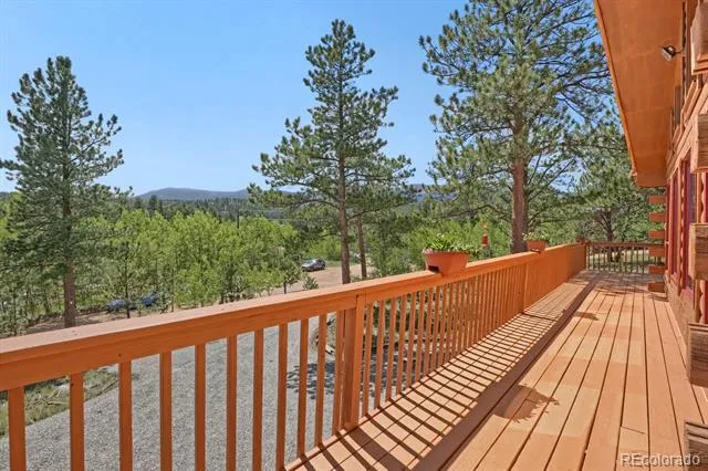 16 Mesa Court Bailey, CO 80421