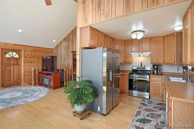 16 Mesa Court Bailey, CO 80421