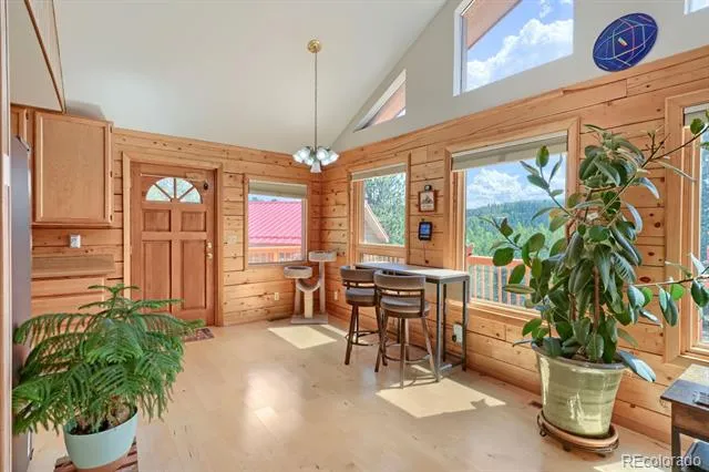 16 Mesa Court Bailey, CO 80421