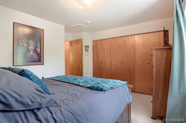 16 Mesa Court Bailey, CO 80421