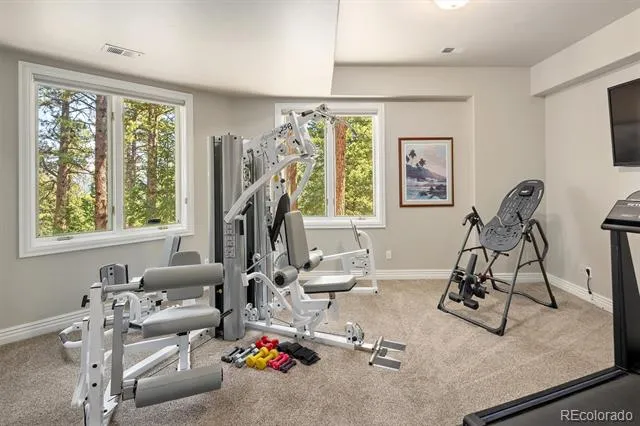 31354 Morning Star Drive Evergreen, CO 80439
