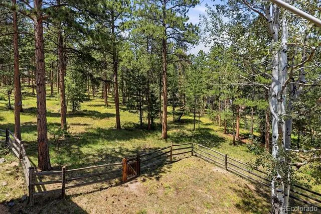 31354 Morning Star Drive Evergreen, CO 80439