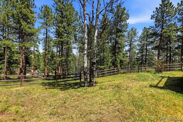 31354 Morning Star Drive Evergreen, CO 80439