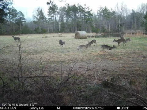 873 Glass Road Michigan City, MS 38647