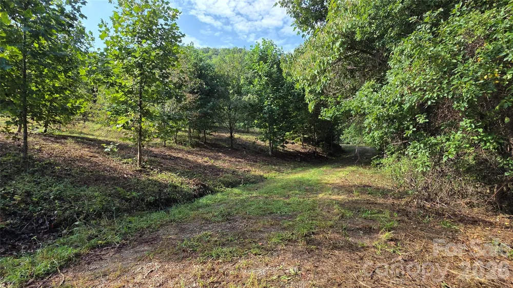 50 Gregory Hill Road Fairview, NC 28730