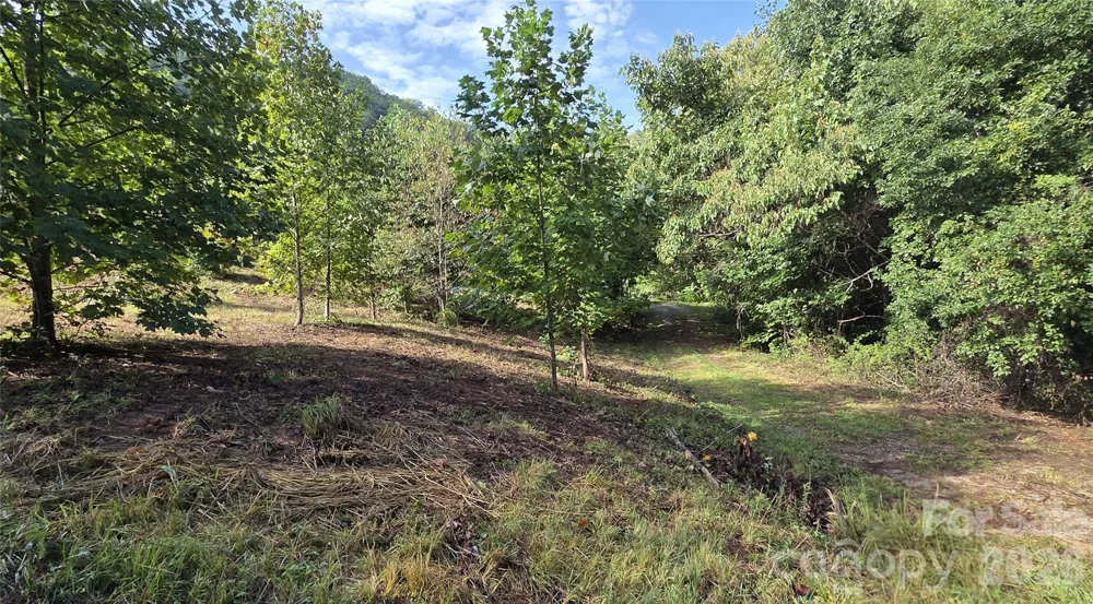 50 Gregory Hill Road Fairview, NC 28730