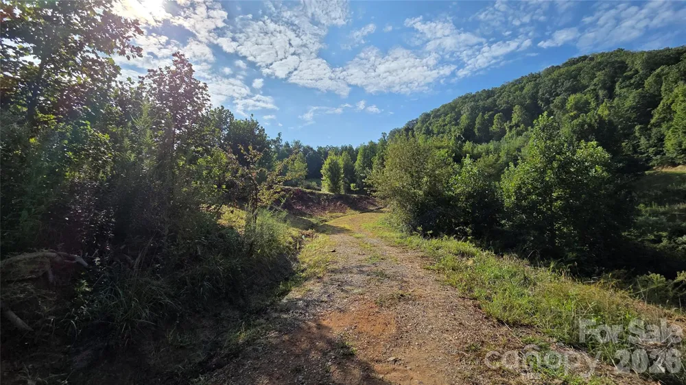 50 Gregory Hill Road Fairview, NC 28730