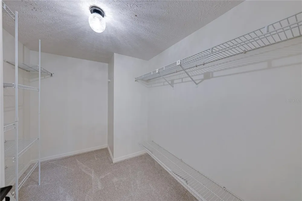 3501 E TRAPNELL ROAD Plant City, FL 33566