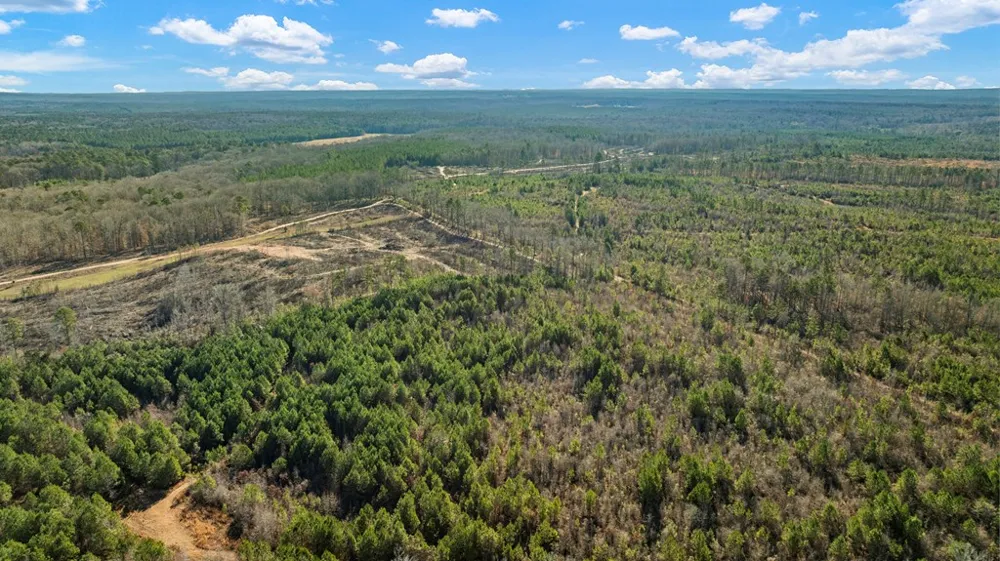 Parcel C3-300 Highway 0027 Hamilton, GA 31811