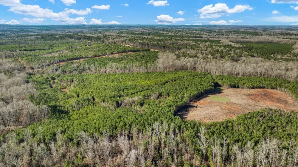 Parcel C3-300 Highway 0027 Hamilton, GA 31811