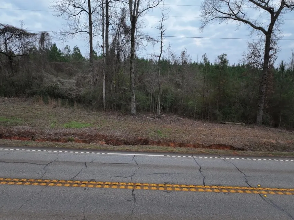 Parcel C3-300 Highway 0027 Hamilton, GA 31811