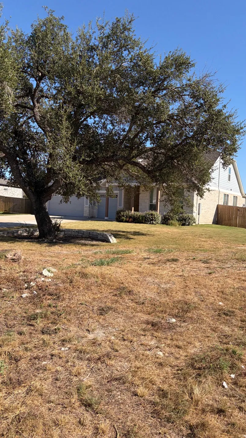 209 Tumbling Creek Run Kyle, TX 78640