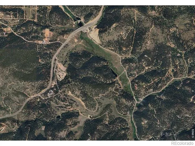 13034 S US Highway 285 Pine, CO 80470