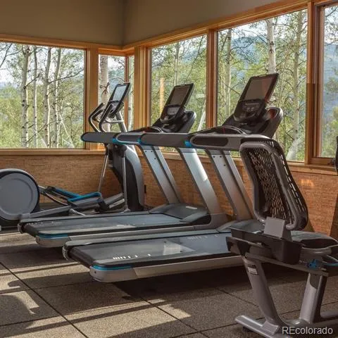 814 Maryland Creek Road Silverthorne, CO 80498