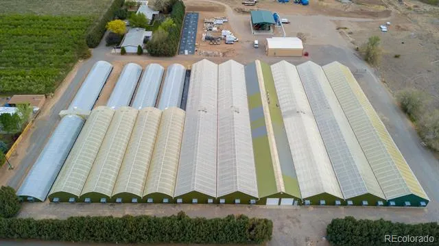 3281 C ROAD Palisade, CO 81526