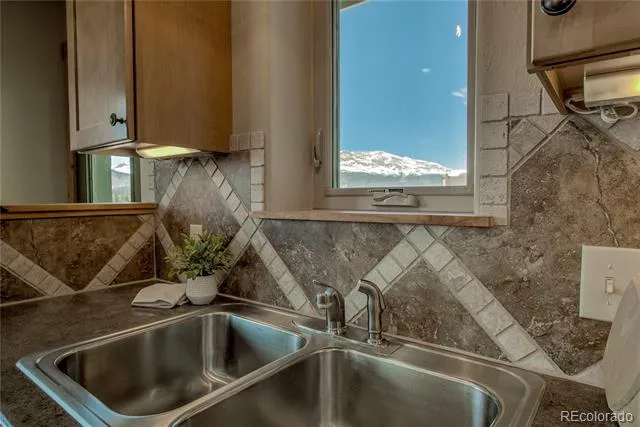 216 Glacier Ridge Road Alma, CO 80420