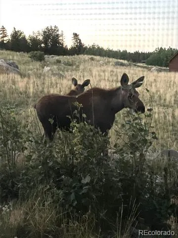 216 Glacier Ridge Road Alma, CO 80420