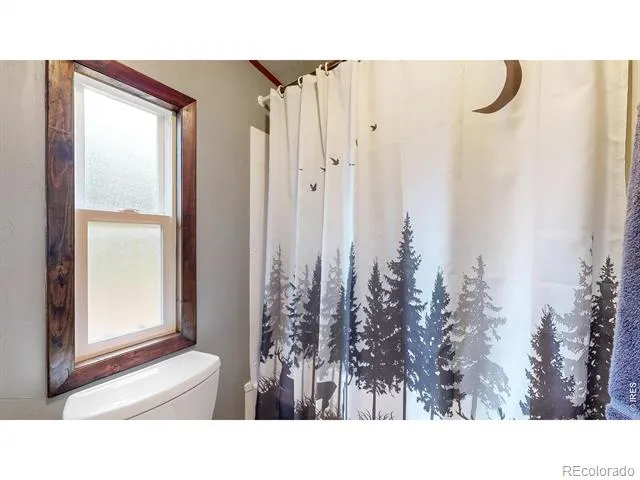 62 Spokane Court Red Feather Lakes, CO 80545