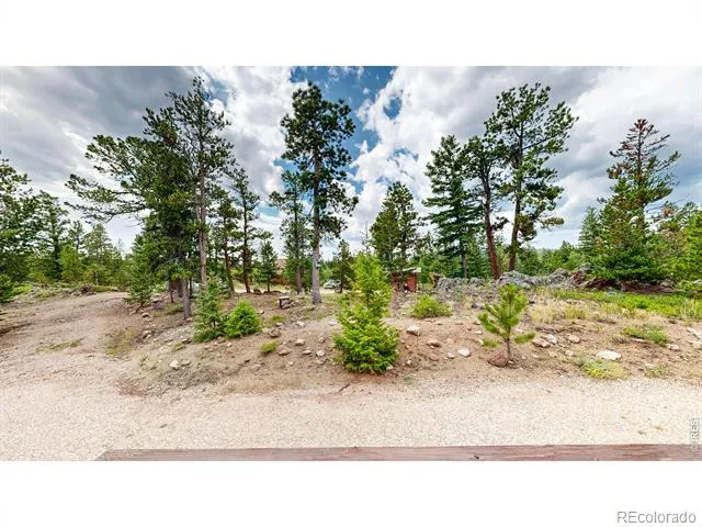 62 Spokane Court Red Feather Lakes, CO 80545