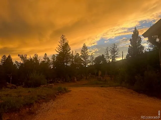 62 Spokane Court Red Feather Lakes, CO 80545
