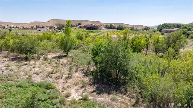 267 33 ROAD Palisade, CO 81526