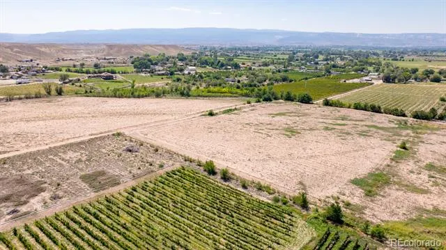 267 33 ROAD Palisade, CO 81526
