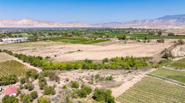 267 33 ROAD Palisade, CO 81526