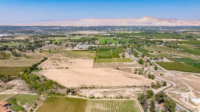 267 33 ROAD Palisade, CO 81526