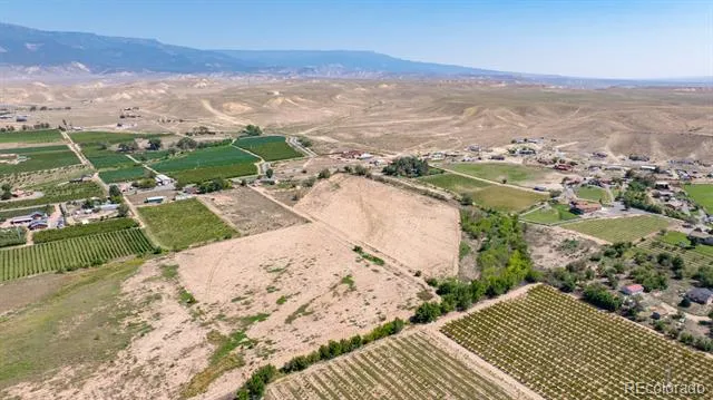 267 33 ROAD Palisade, CO 81526