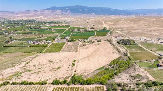 267 33 ROAD Palisade, CO 81526