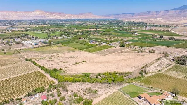 267 33 ROAD Palisade, CO 81526