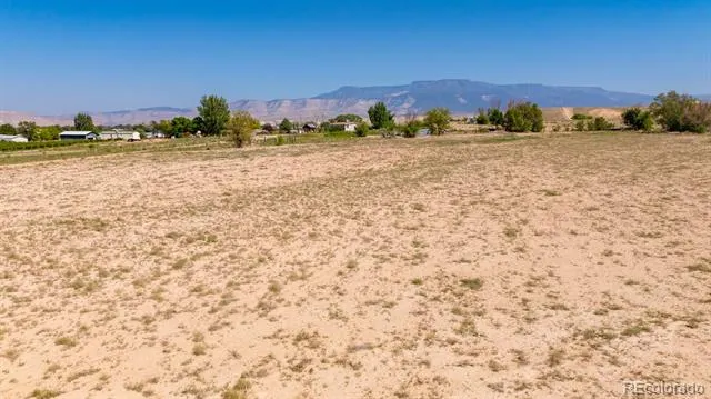 267 33 ROAD Palisade, CO 81526