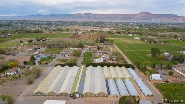 3281 C ROAD Palisade, CO 81526