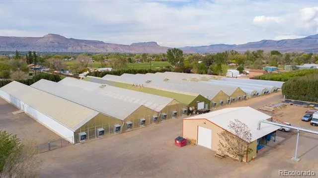 3281 C ROAD Palisade, CO 81526