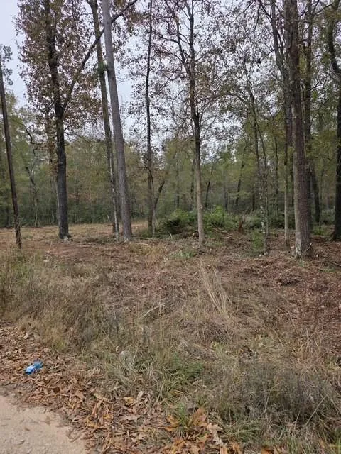 222 Wendy Way Livingston, TX 77351