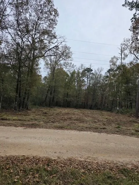 222 Wendy Way Livingston, TX 77351