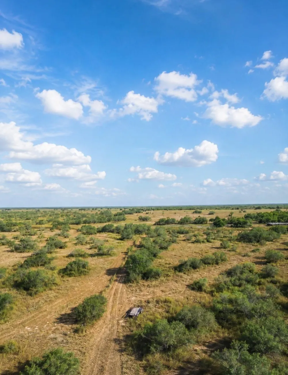 7307 S Highway 281 Encino, TX 78353