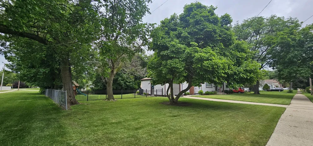 1038 S Wisner Street Jackson City, MI 49203