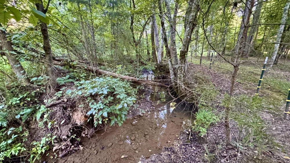 3701 Redman Road Decatur, TN 37322