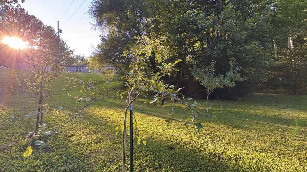 3701 Redman Road Decatur, TN 37322