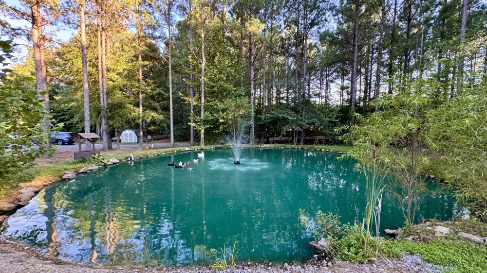 3701 Redman Road Decatur, TN 37322