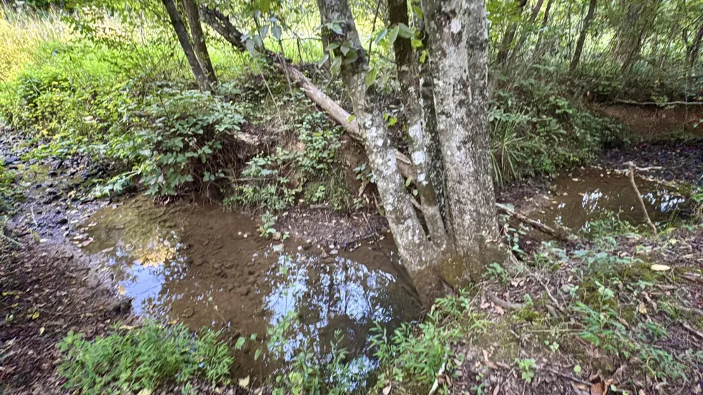 3701 Redman Road Decatur, TN 37322