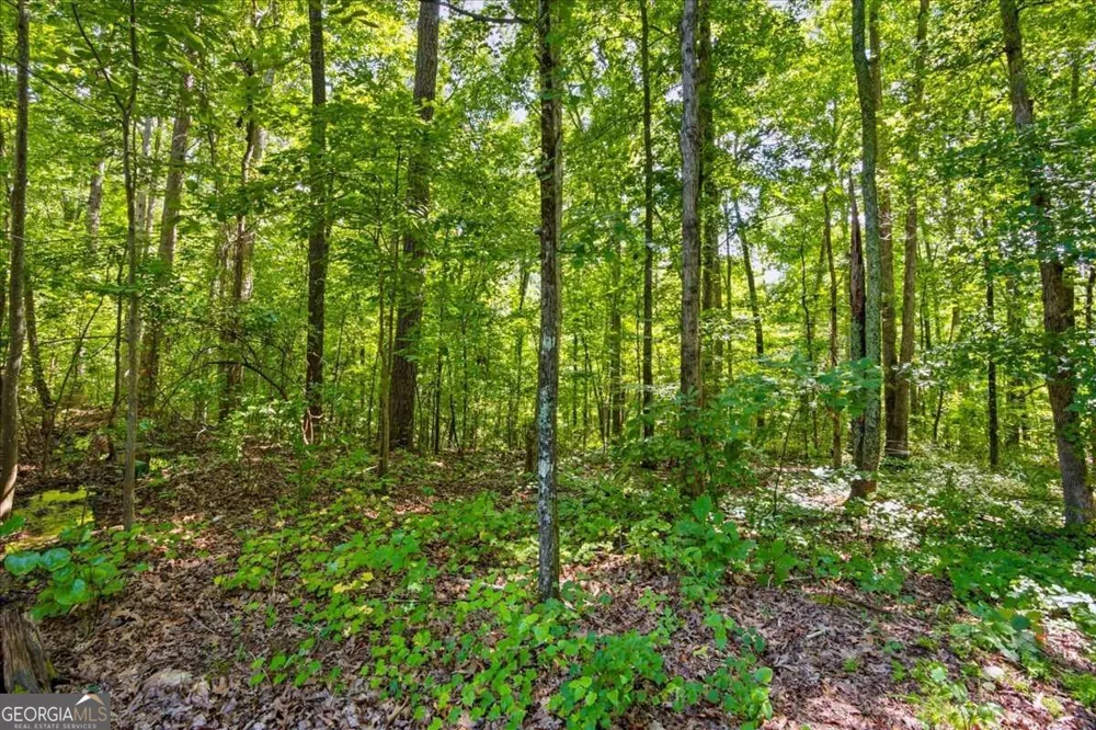 194 Gina DR Carrollton, GA 30116