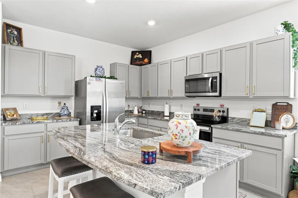 32898 PEZ LANDING LANE Wesley Chapel, FL 33543