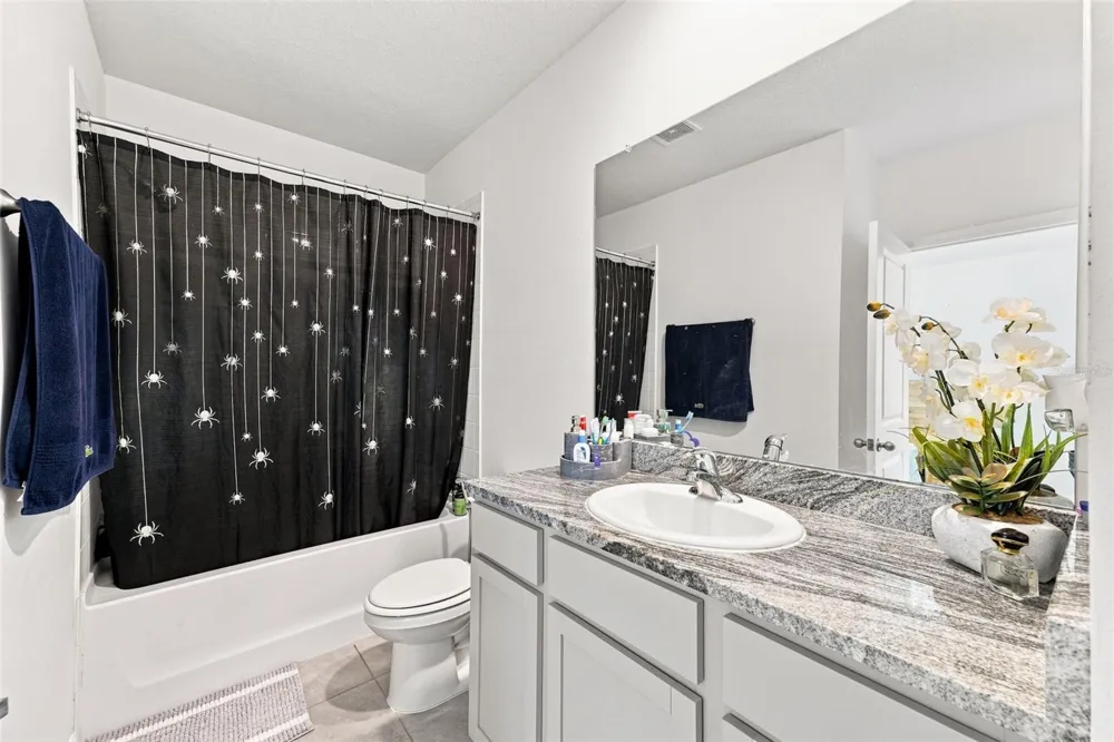 32898 PEZ LANDING LANE Wesley Chapel, FL 33543