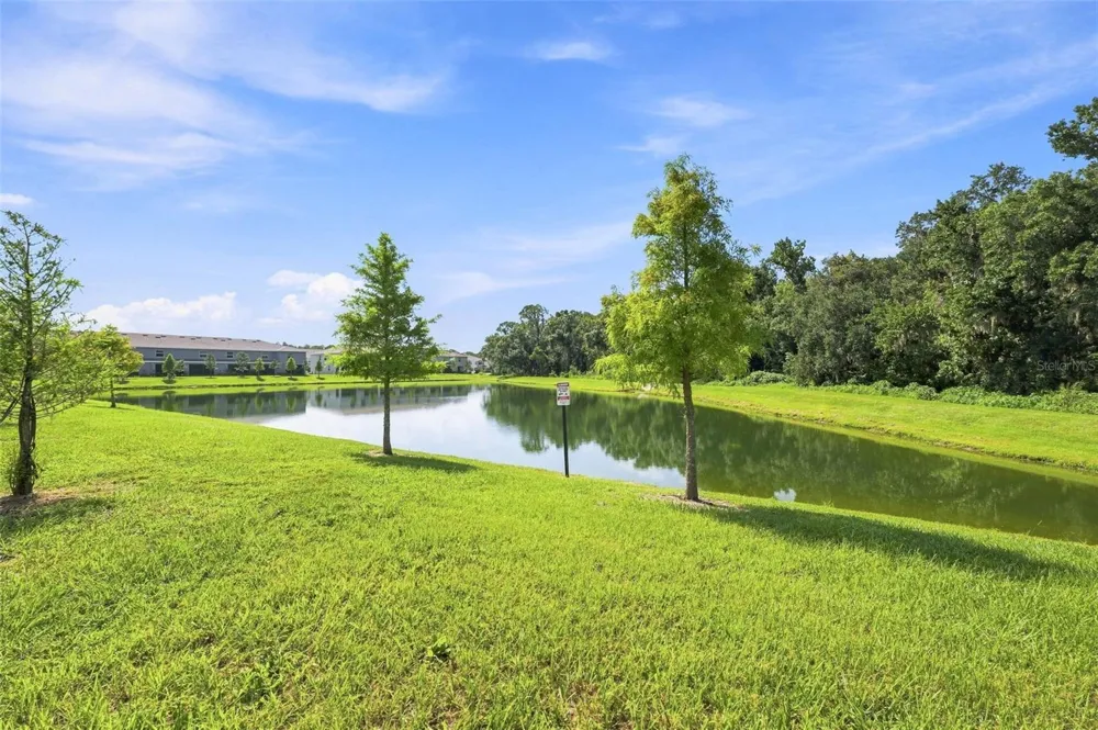 32898 PEZ LANDING LANE Wesley Chapel, FL 33543