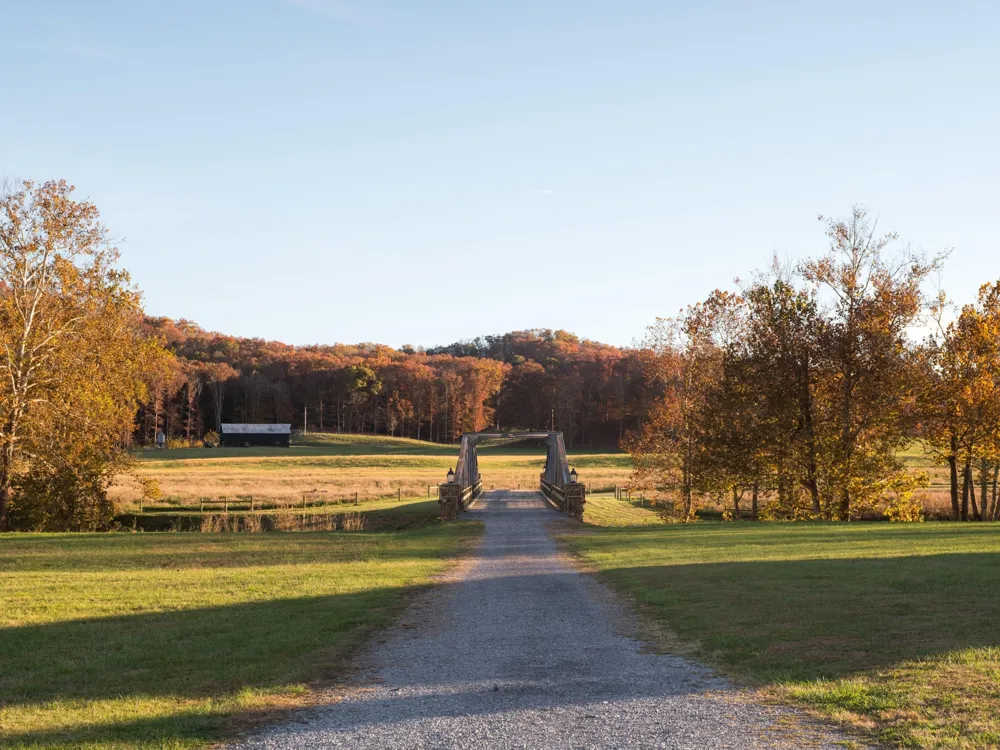7456 A P Carter Highway Hiltons, VA 24258